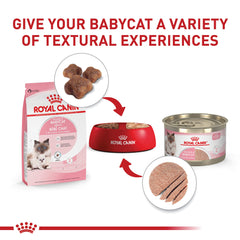 Royal Canin favorece microbioma digestivo con prebióticos y proteínas fáciles de digerir.