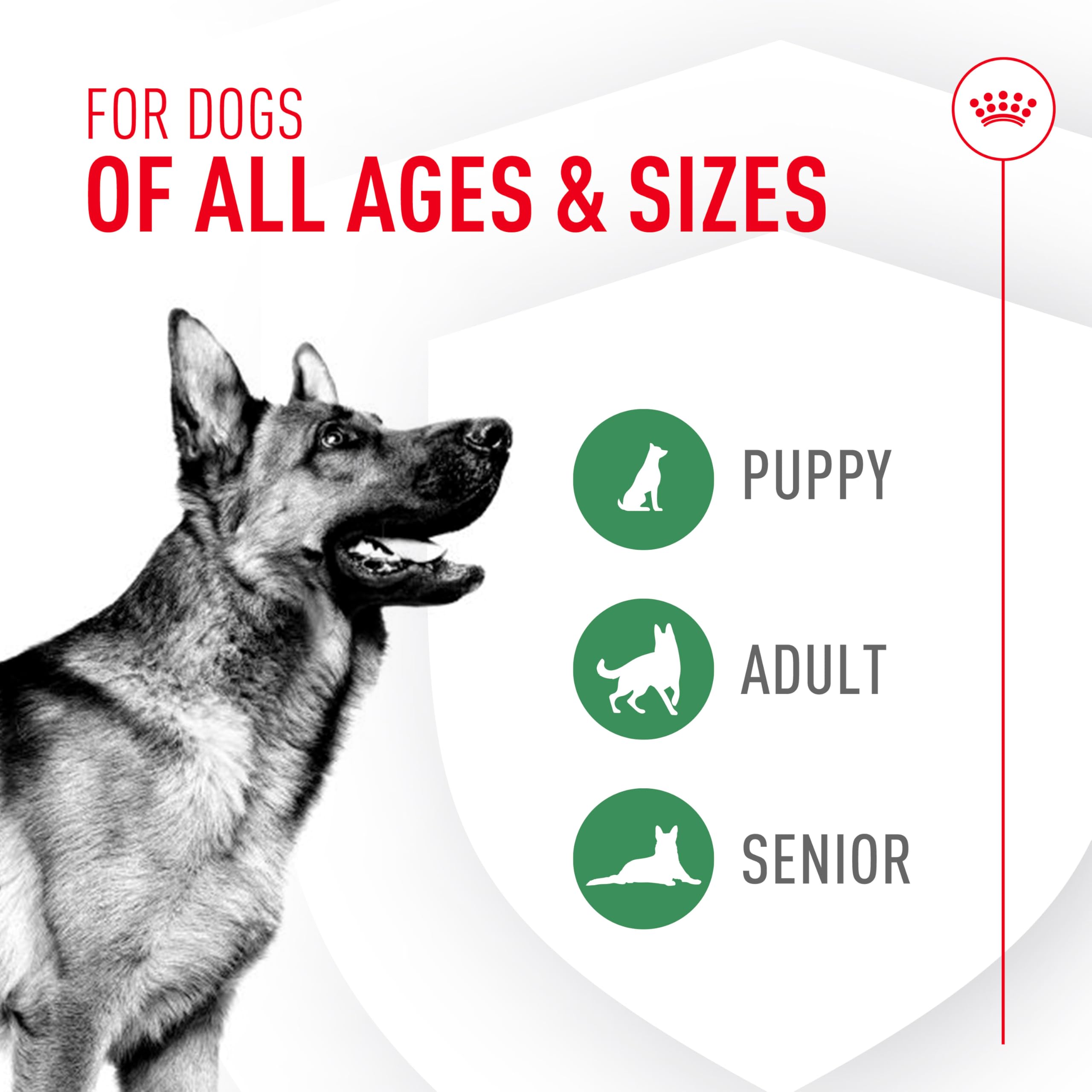 Royal Canin Probioticos: dispensador con porciones consistentes