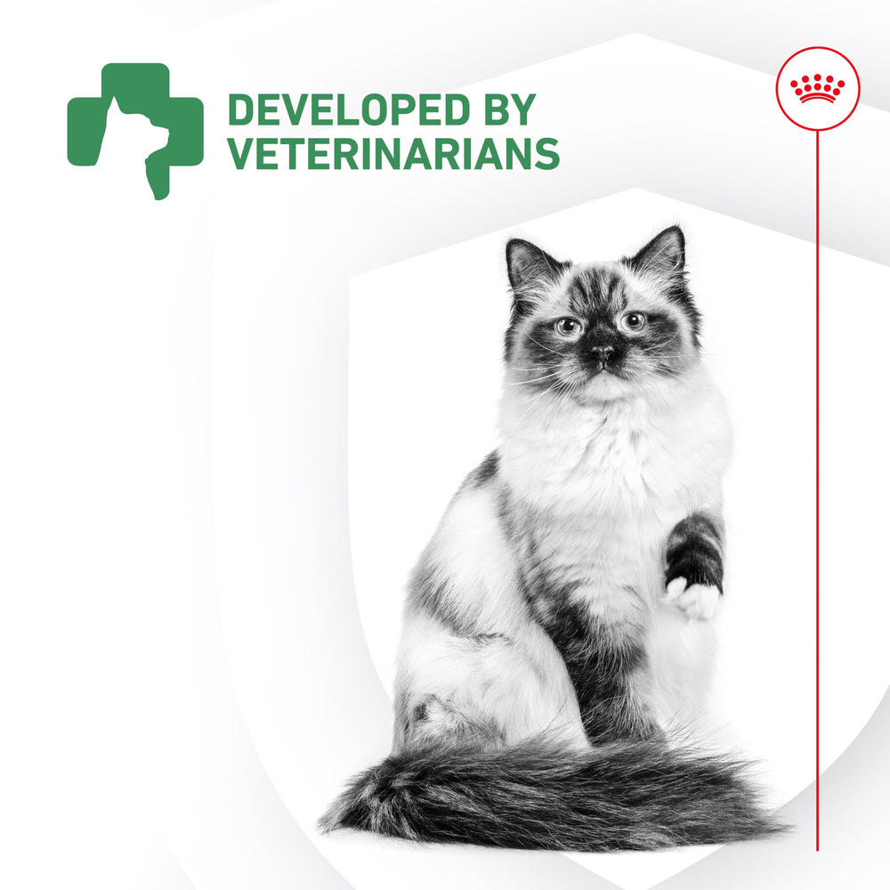 ROYAL CANIN Probiotics para Gatos: apoyo inmunitario suave