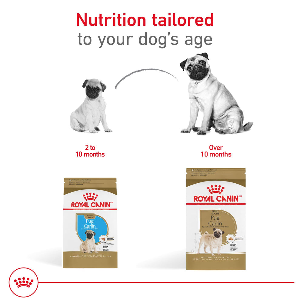 Royal Canin Pug, comida humeda para piel sensible.
