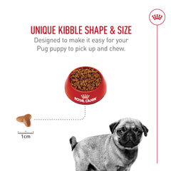 Cuidado de piel y pelaje con nutrientes en Royal Canin Pug Puppy