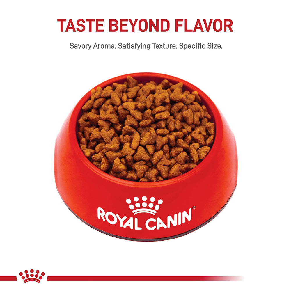 Envase de 2,5 lb para cachorros Pug