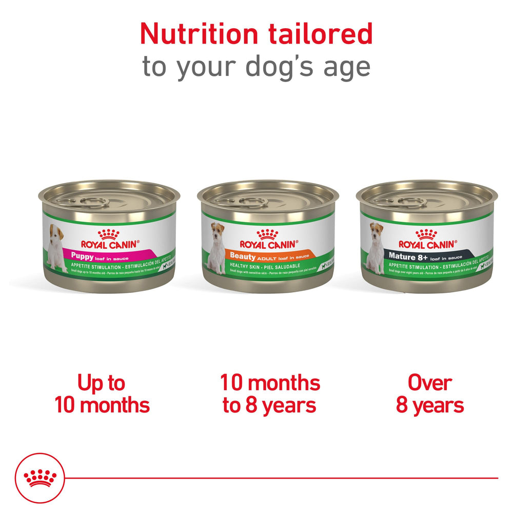 Royal Canin Puppy Loaf en salsa: textura apetecible para estimular la ingesta diaria