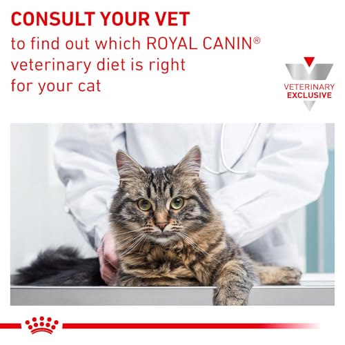 Royal Canin Renal Support E: ingredientes clave y perfil nutricional.