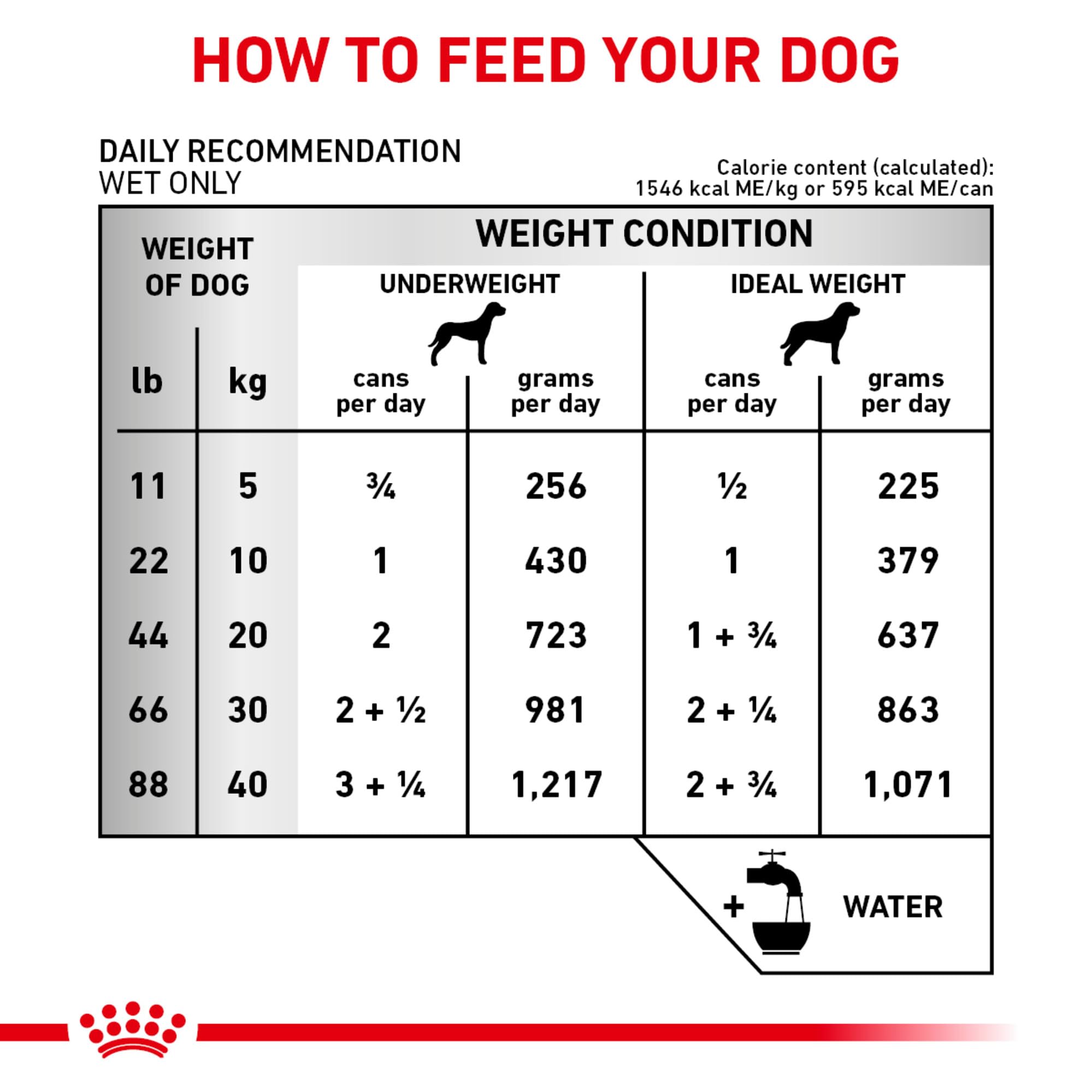 Royal Canin Renal Support T complejo antioxidante para apoyo general