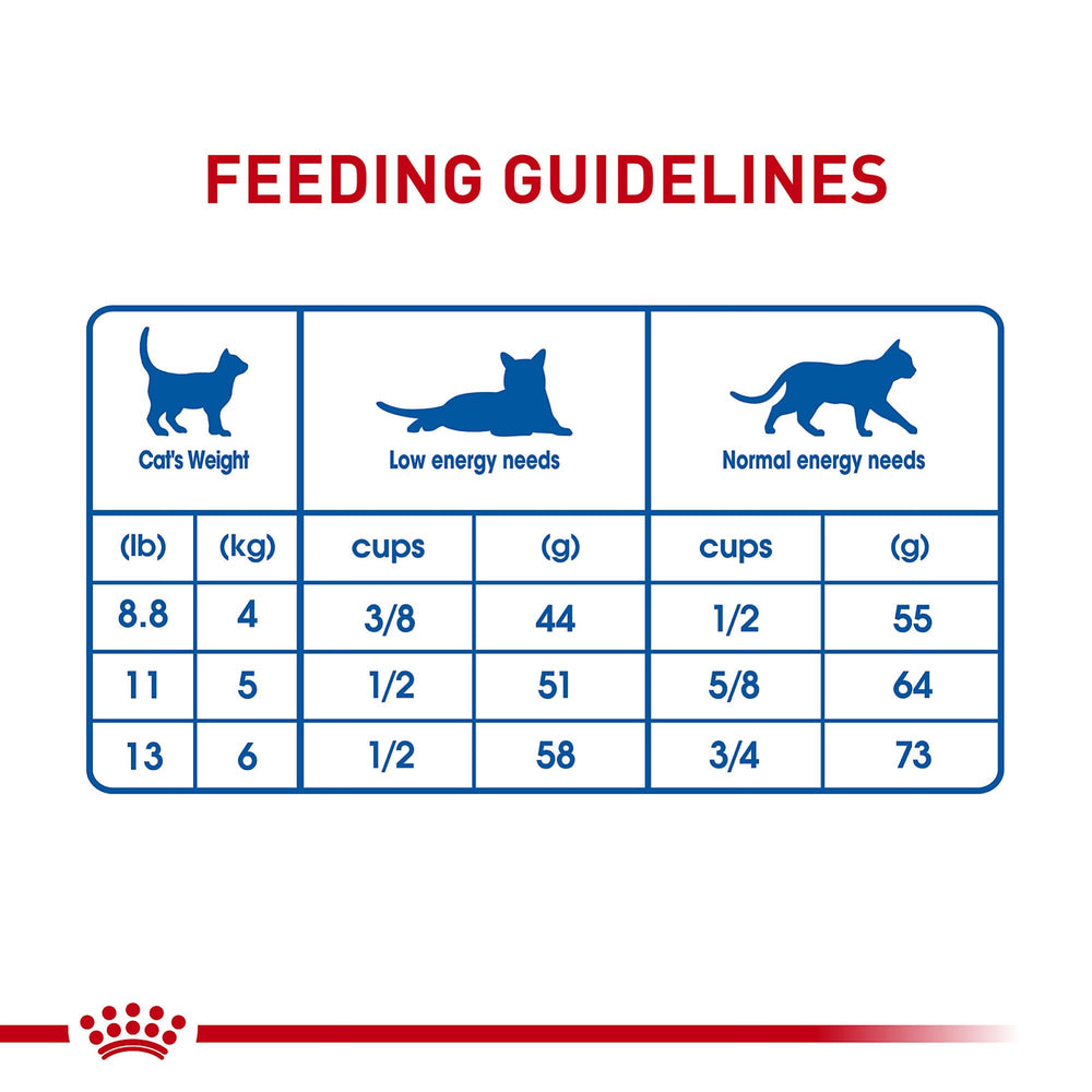 ROYAL CANIN rutina diaria para gato interior