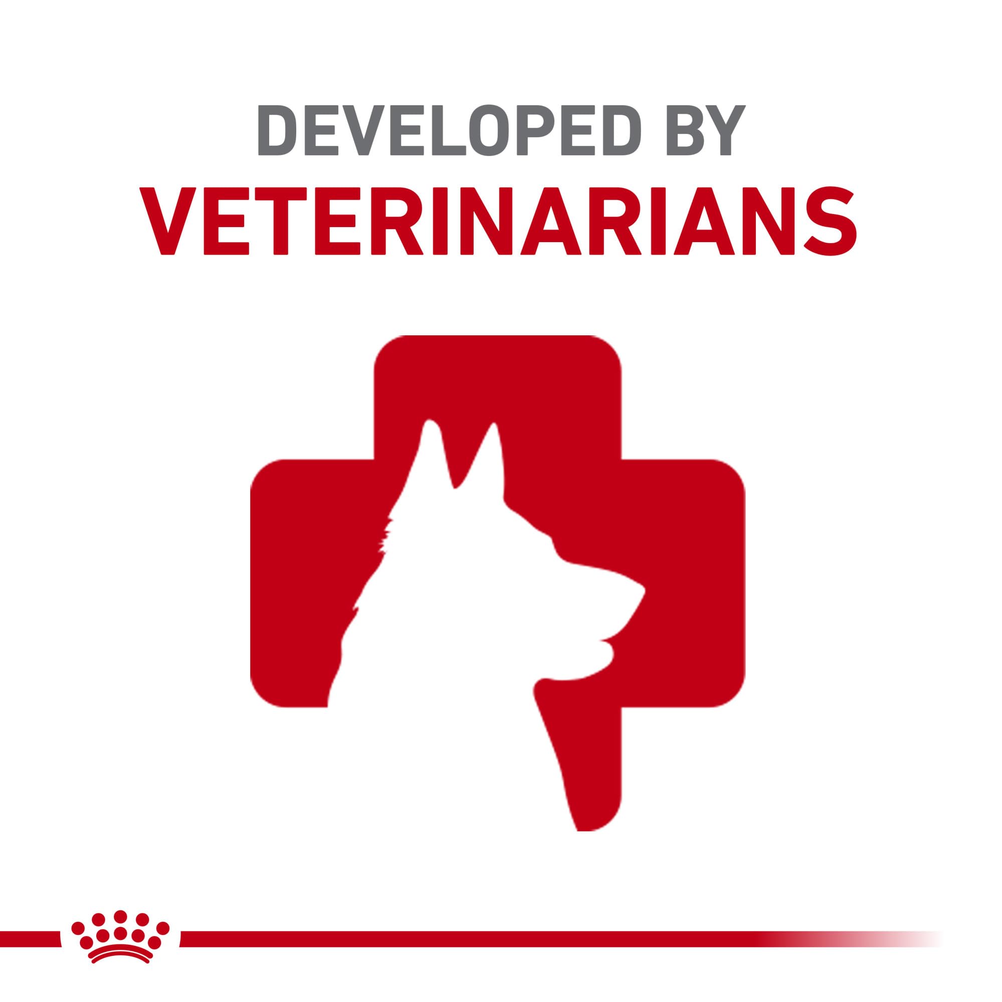 Royal Canin sabor agradable para perros con apetito exigente.