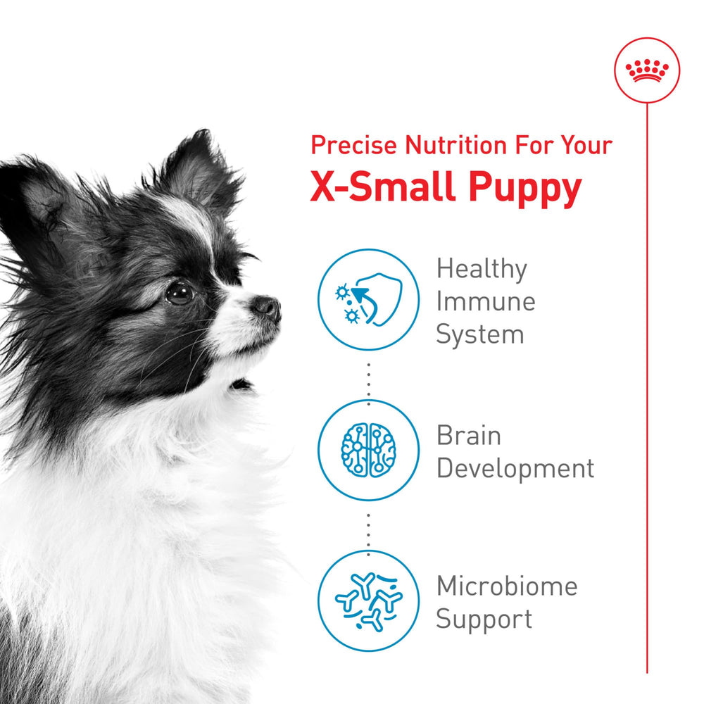 Royal Canin prebióticos y proteínas que favorecen la salud digestiva.