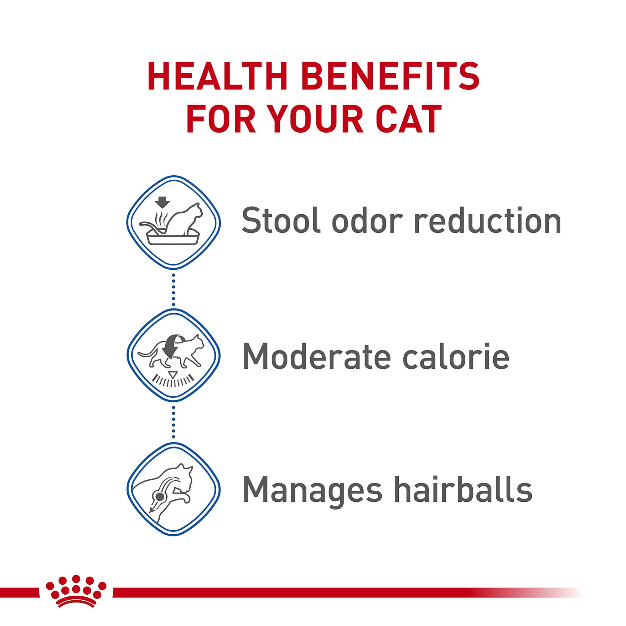 Royal Canin Salud Digestiva Gato Seco: favorece la digestión eficiente