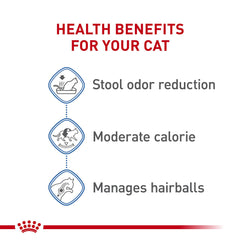Royal Canin Salud Digestiva Gato Seco: favorece la digestión eficiente