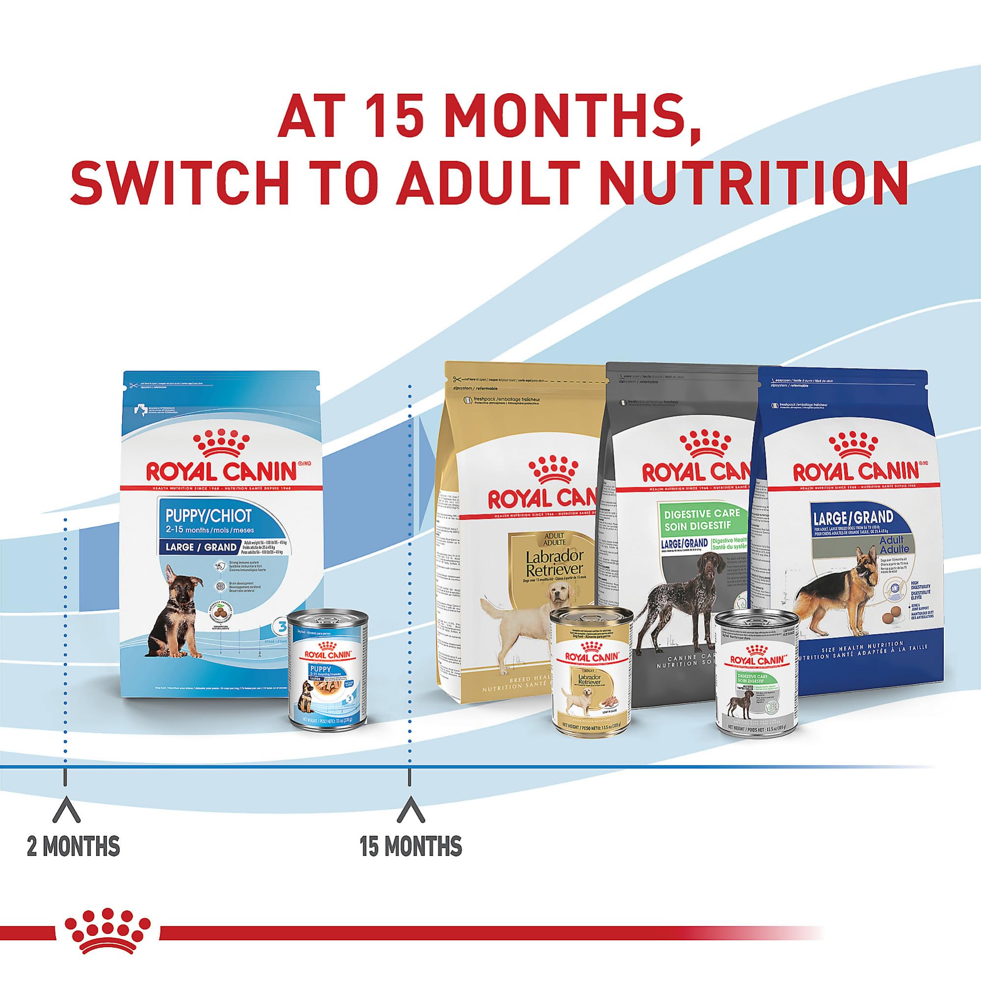 Antioxidantes y prebióticos en Royal Canin Size Health Nutrition para apoyo inmunológico y digestivo.
