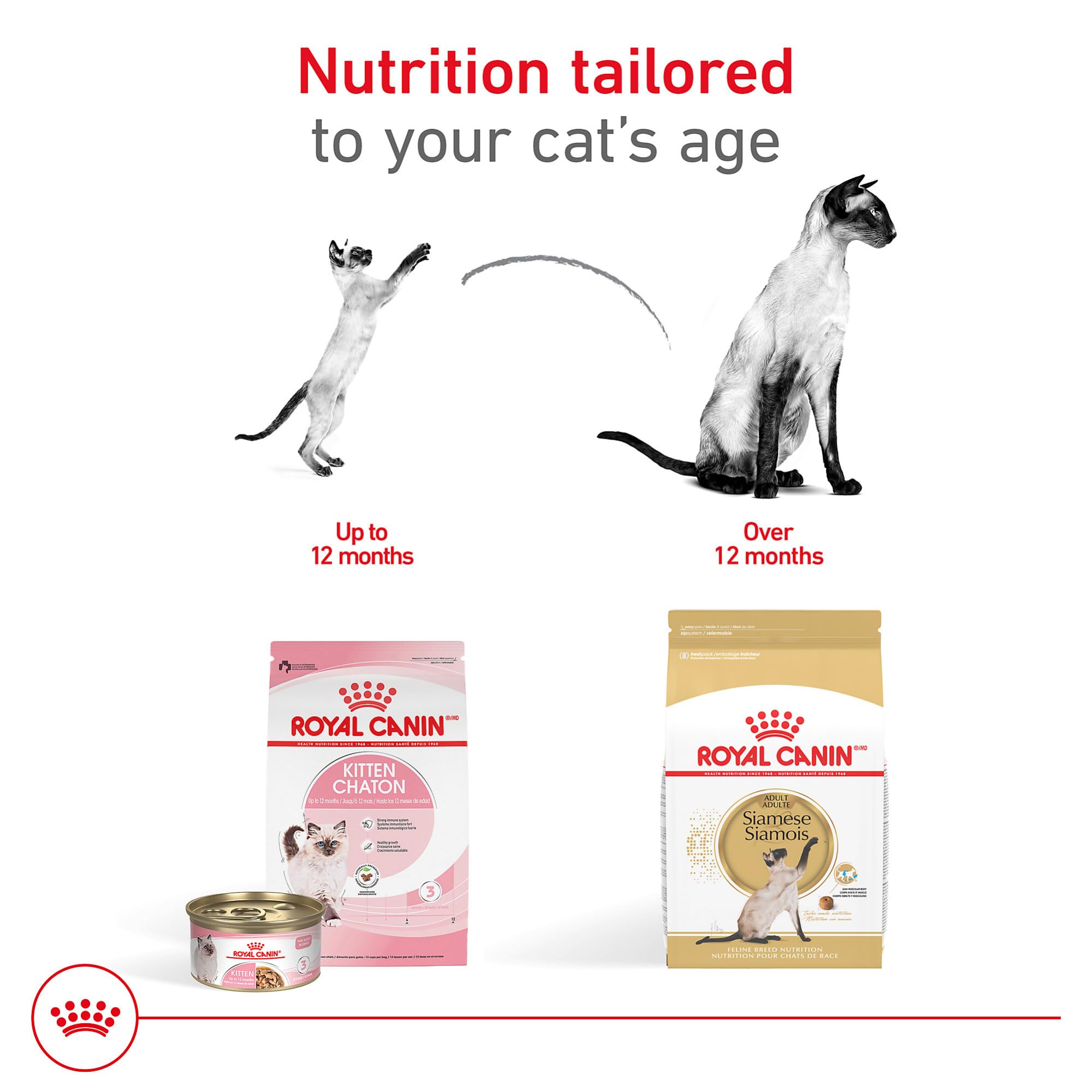 ROYAL CANIN Siamese croquetas en forma de anilla diseño oral.