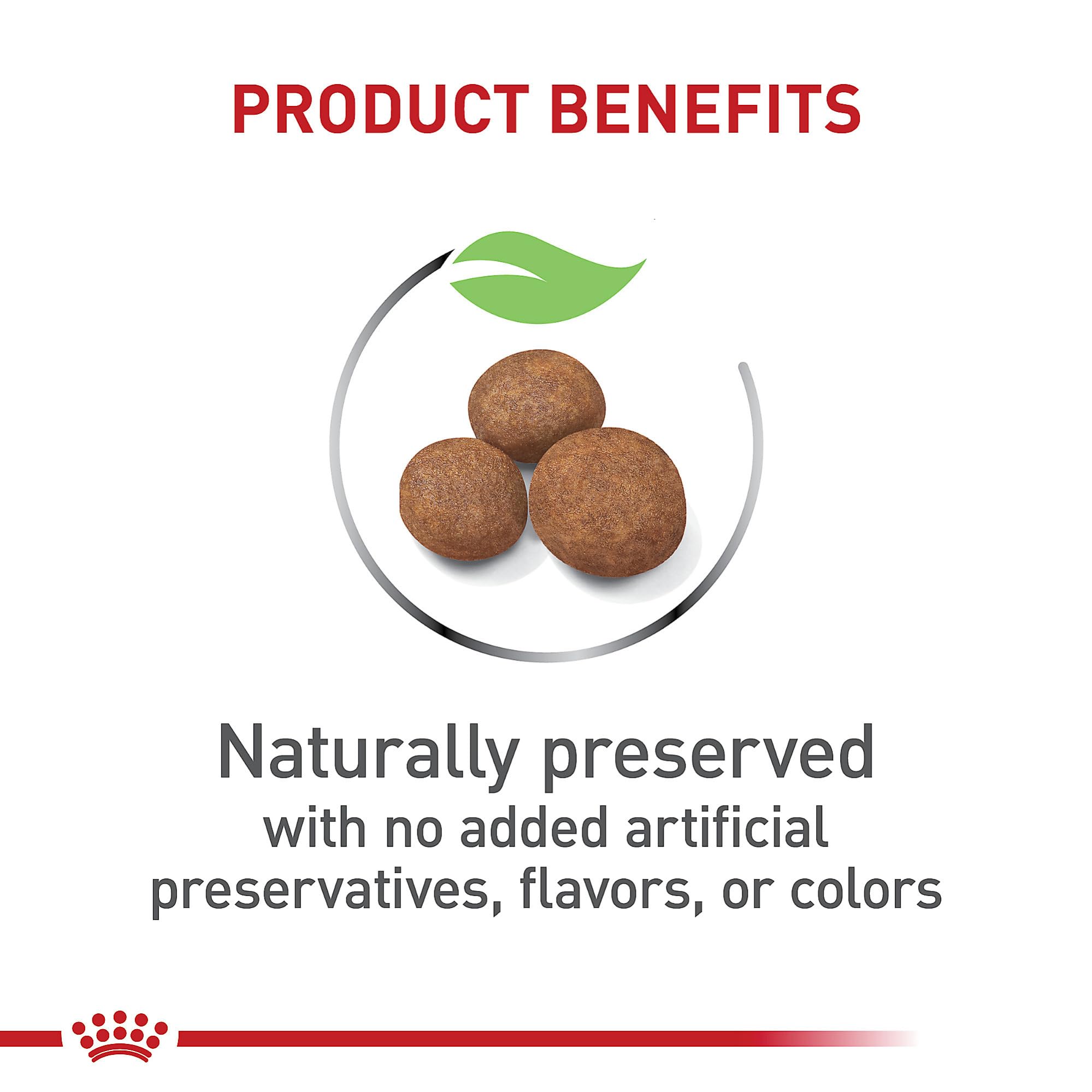 Royal Canin Size Health Nutrition, porción servida en cuenco para una comida equilibrada.