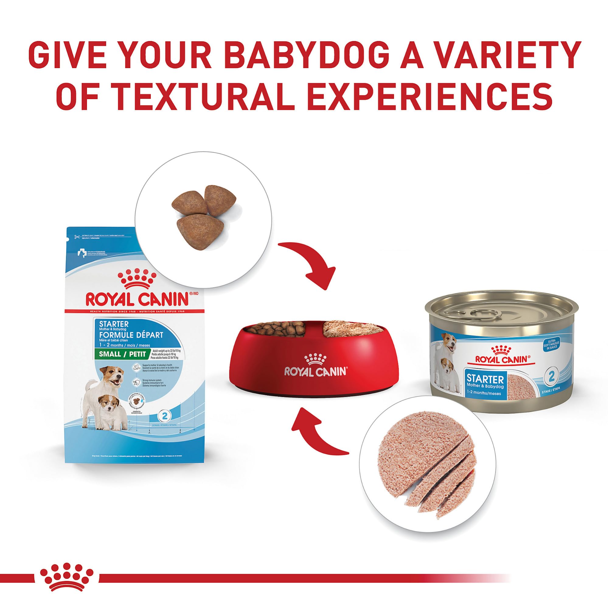 Antioxidantes en Royal Canin Small Starter para desarrollo inmunológico.