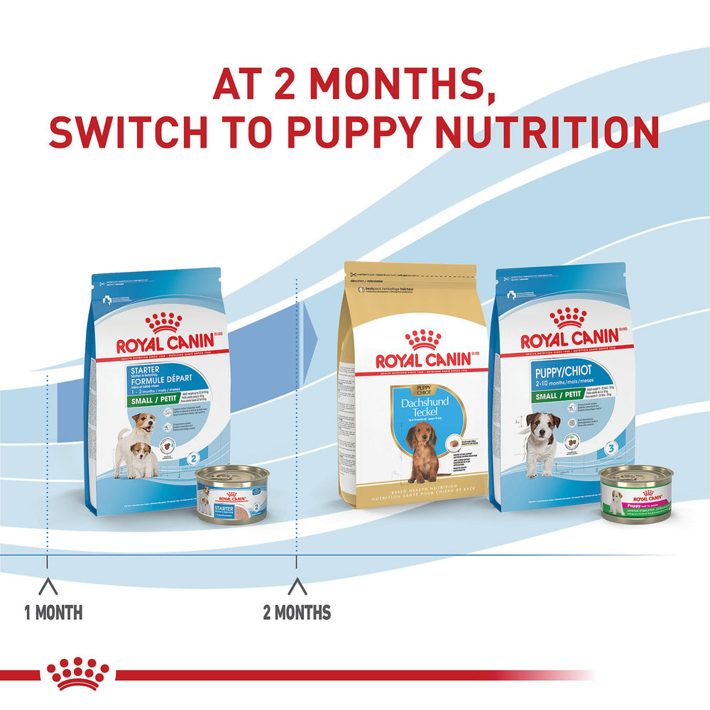 Prebióticos y proteínas digestibles en Royal Canin Small Starter para microbioma saludable.