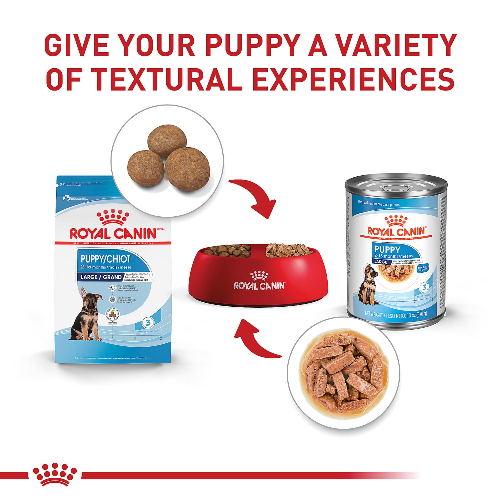 DHA y omega-3 en Royal Canin Size Health Nutrition para desarrollo cerebral durante el crecimiento.