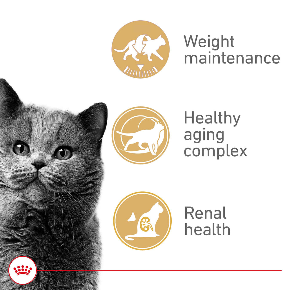 ROYAL CANIN textura fácil de masticar favorece la alimentación diaria.
