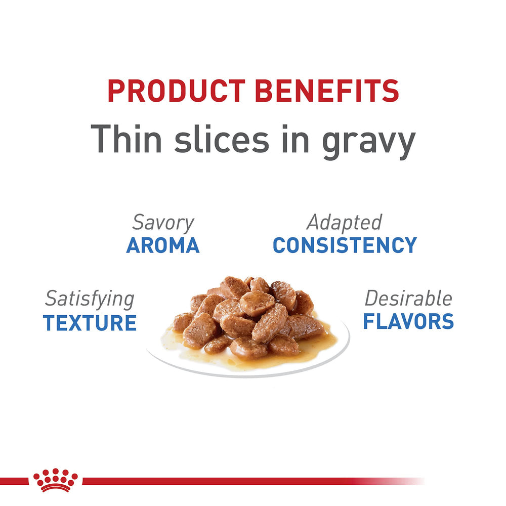 Royal Canin trozos en salsa suaves para gatos que aman comer