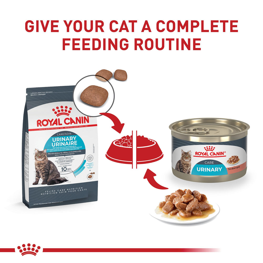 Royal Canin Urinary Care, paquete de 24 latas, opción conveniente para la alimentación.