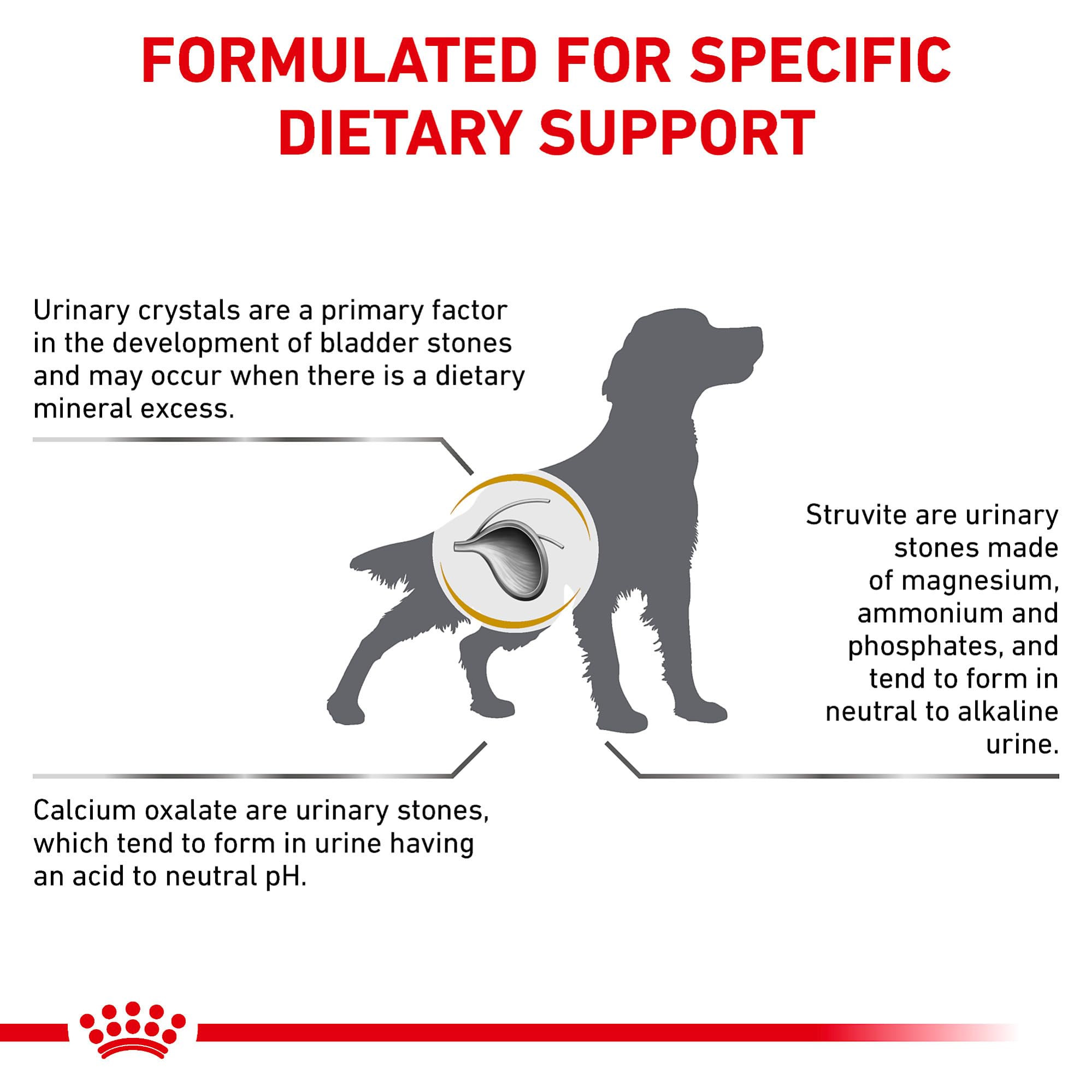 Royal Canin Urinary SO alimento seco en caja
