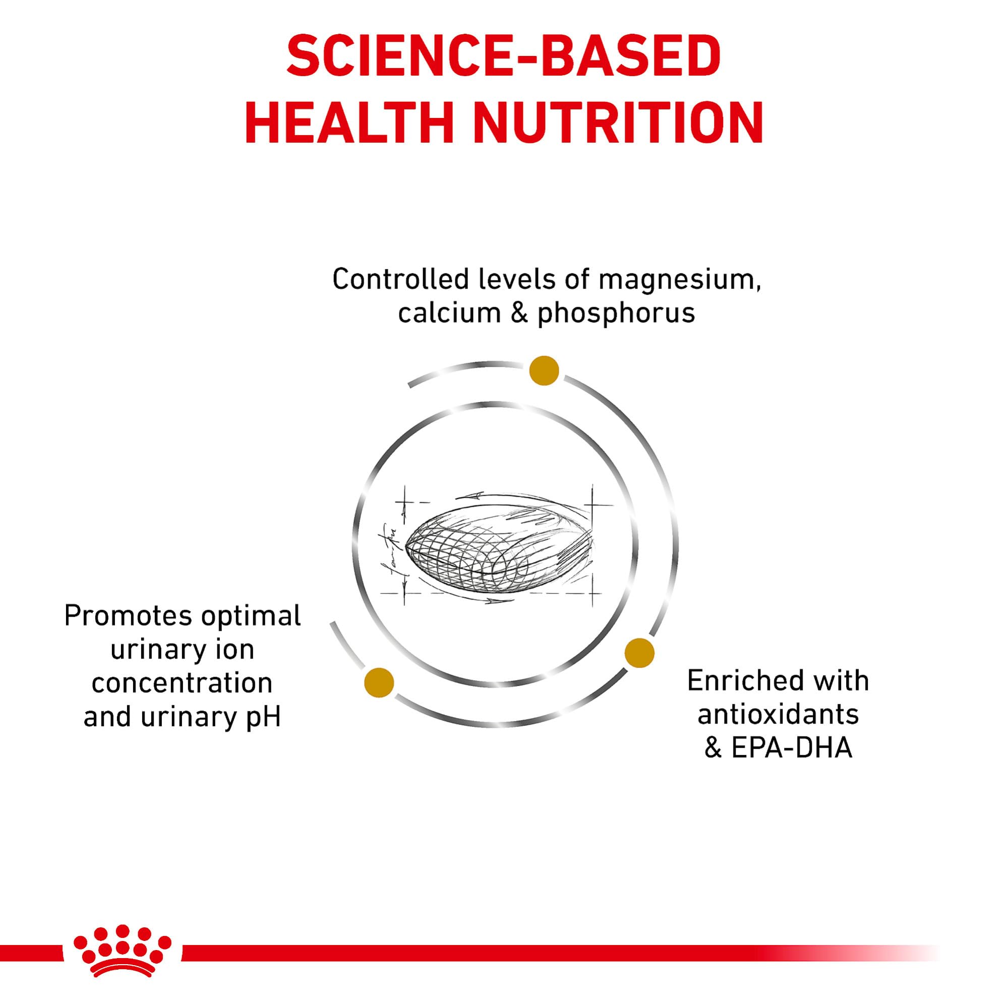 Royal Canin Urinary SO croquetas secas para perros, primer plano de la textura