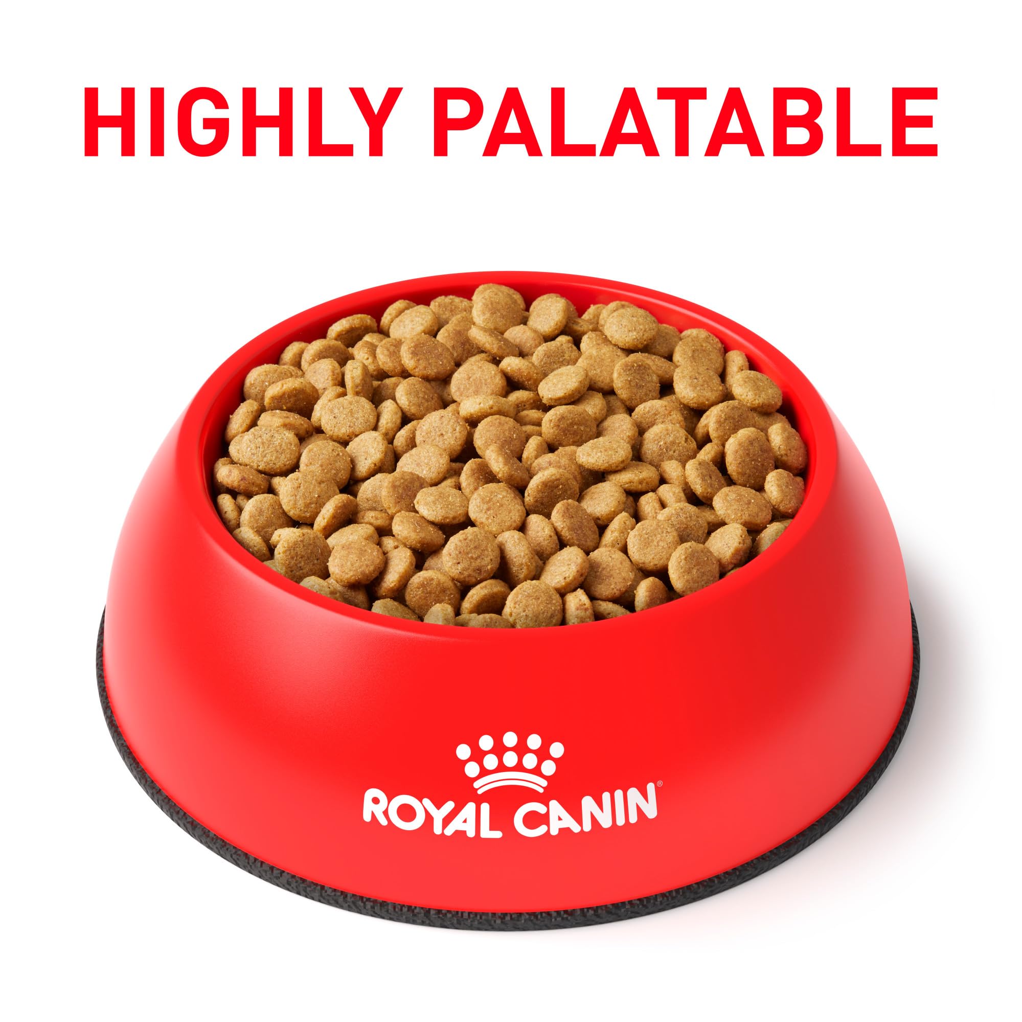 Croquetas de Royal Canin Urinary SO para perro pequeño, favorecen la masticación y la higiene dental.