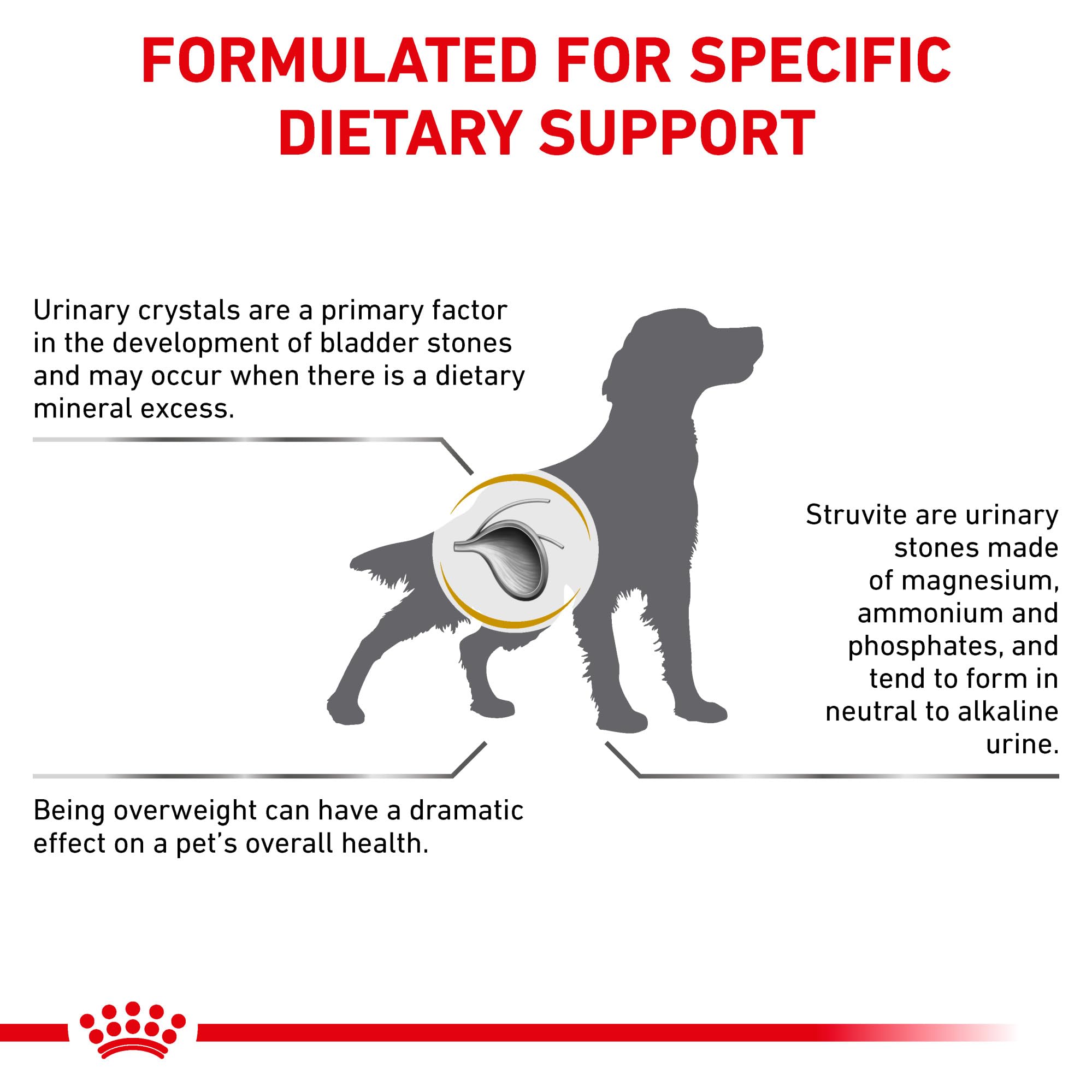 Royal Canin Urinary SO Mod Cal, disolución de piedras de estruvita con control urinario.