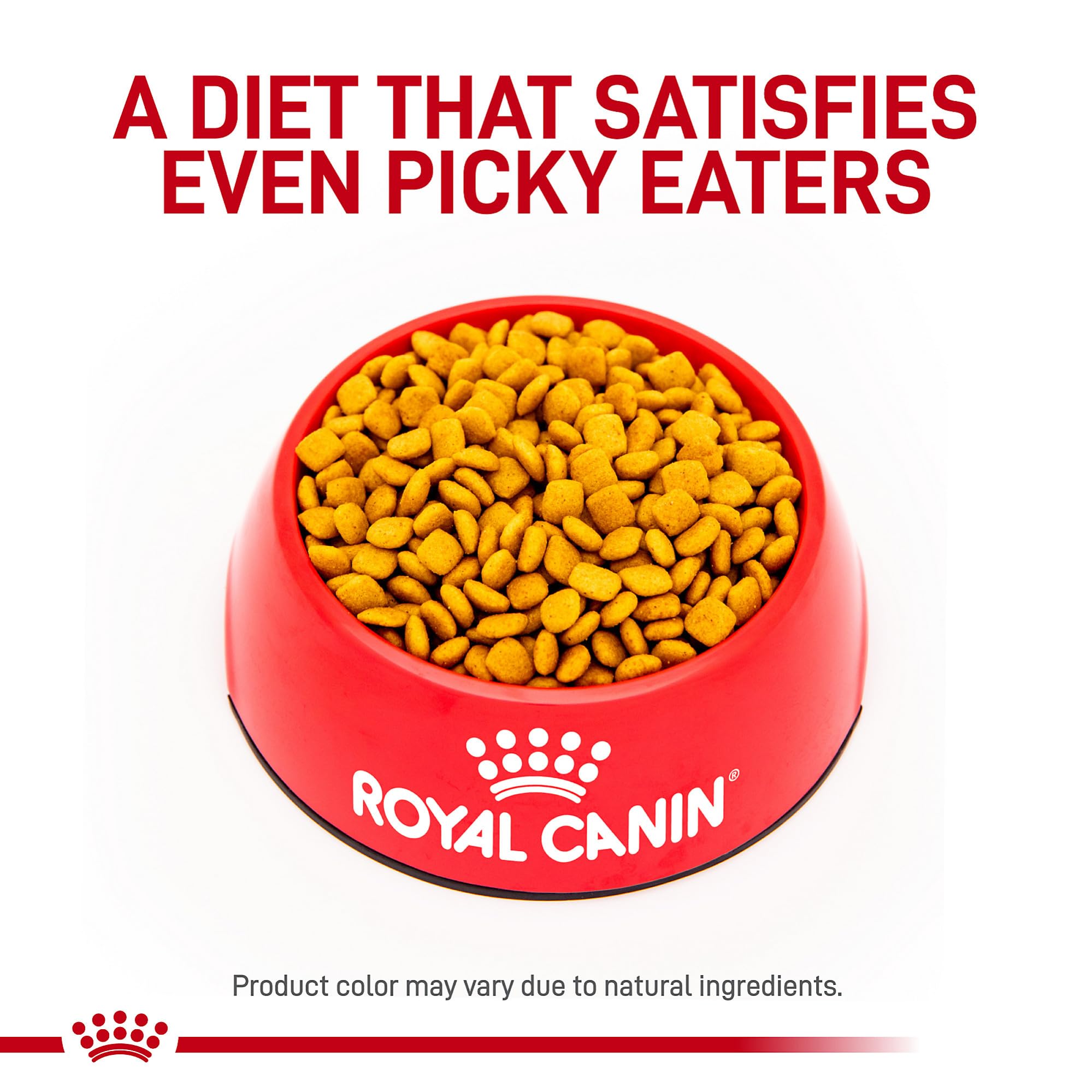 Royal Canin Urinary SO Mod Cal para perro, enfoque en la salud de la vejiga.