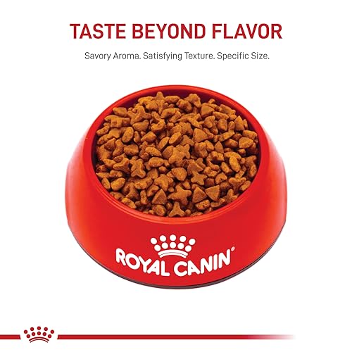 Royal Canin Uso diario para apoyar la digestión de su gato.