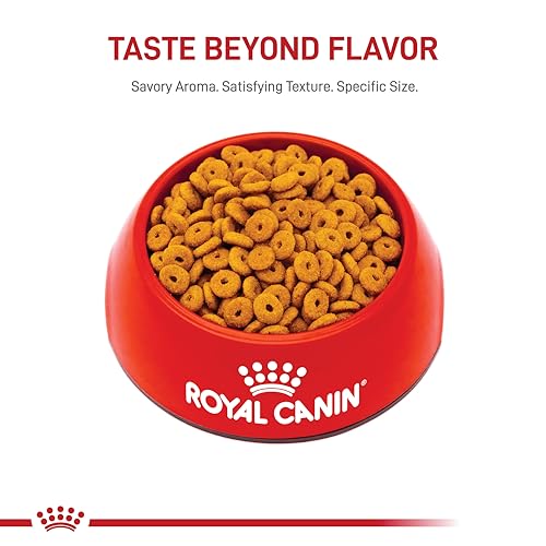 Royal Canin uso diario, dieta completa para gatos esterilizados.