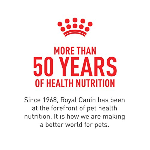 Royal Canin fibra dietética en croquetas, alimento balanceado.