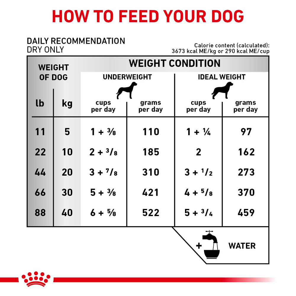 Nutrientes Taurina, Carnitina y Arginina en Royal Canin Cardíaca Temprana