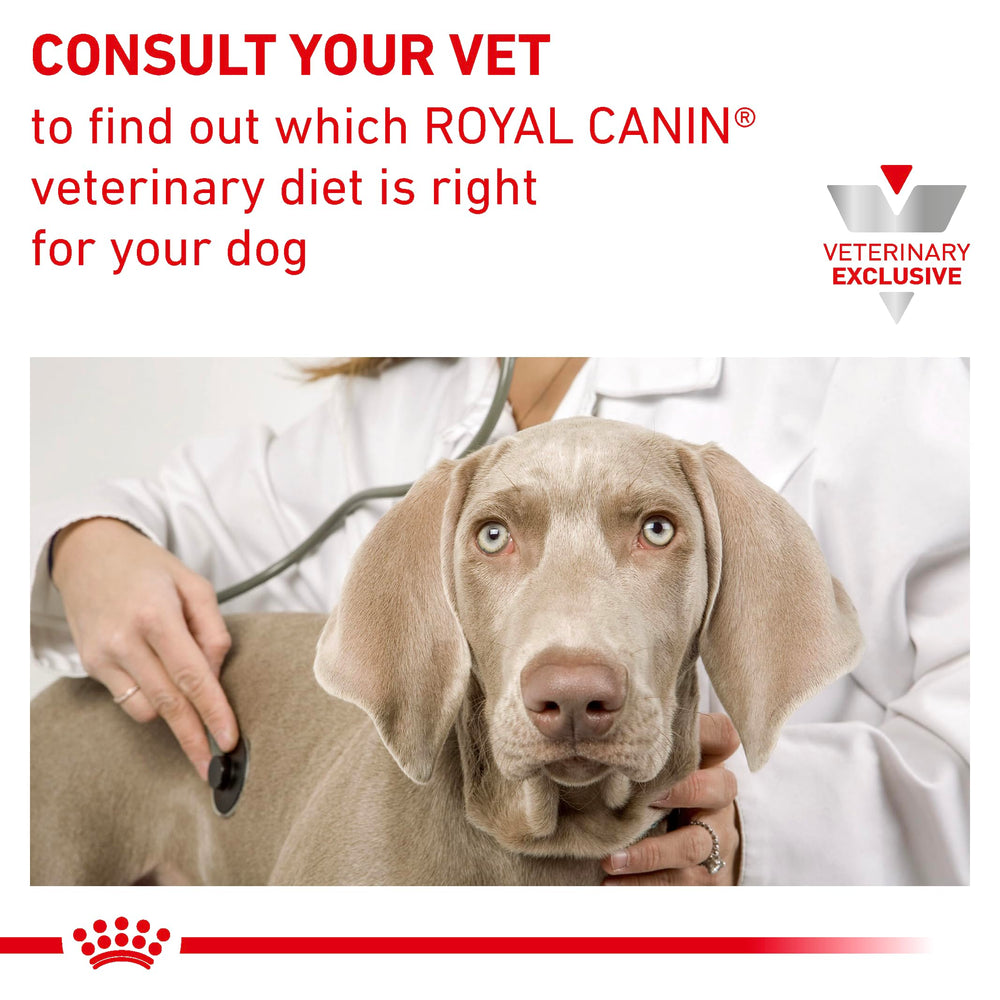 Rincón de tazón con alimento Royal Canin Cardíaca Temprana
