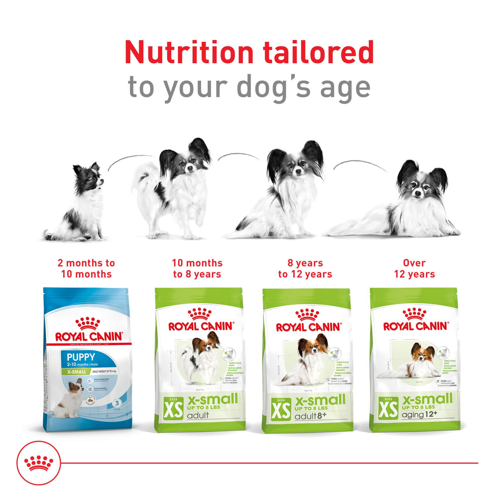 Royal Canin Size X-Small proteínas fáciles de digerir y fibra prebiótica.