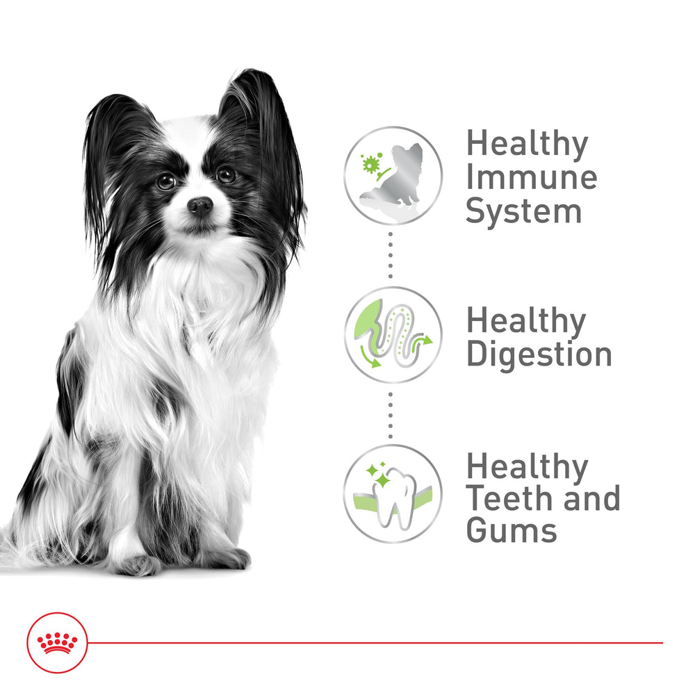 Royal Canin Size X-Small etiqueta nutricional clara para entender ingredientes.