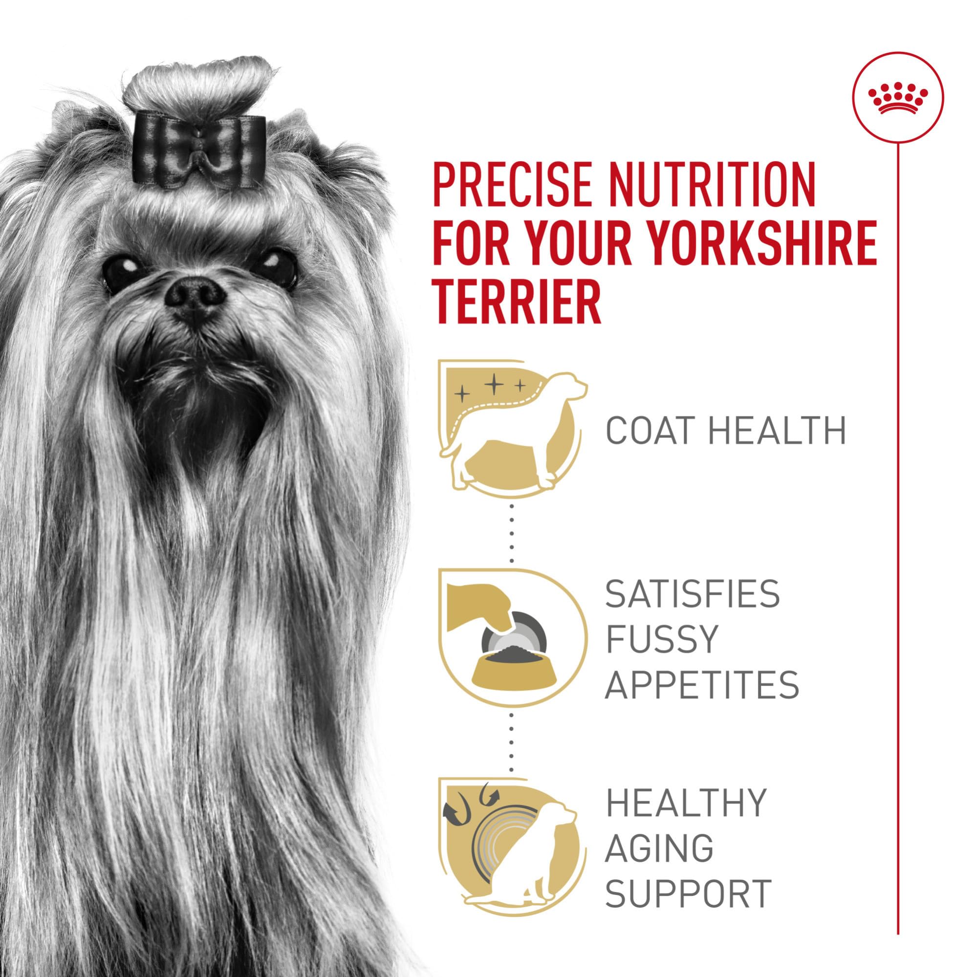 Royal Canin Yorkshire Terrier Adulto: apoyo para la vitalidad en etapas tempranas de envejecimiento.