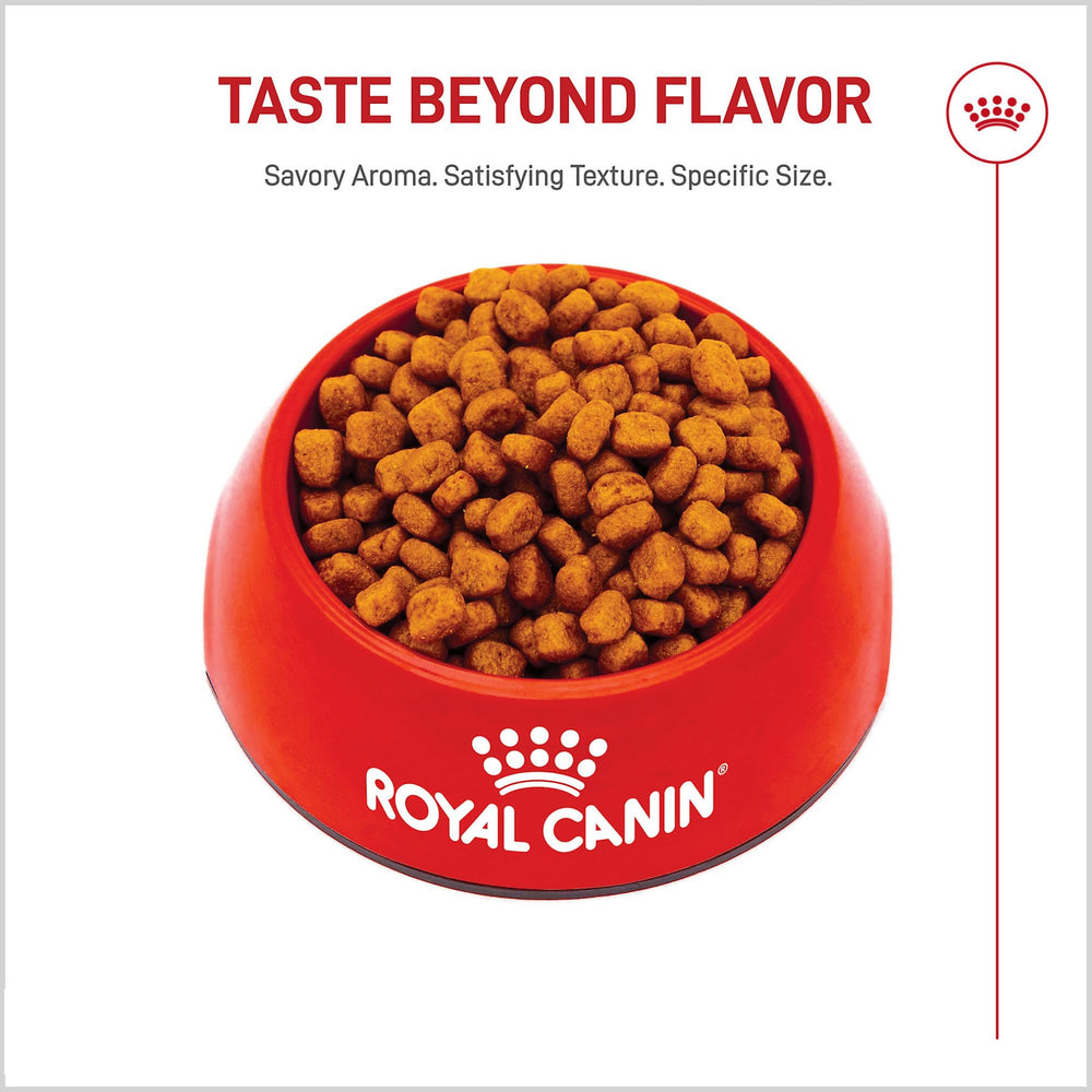Royal Canin Yorkshire Terrier Adulto: nutrientes clave para vitalidad diaria (Vitamina C, EPA, DHA).