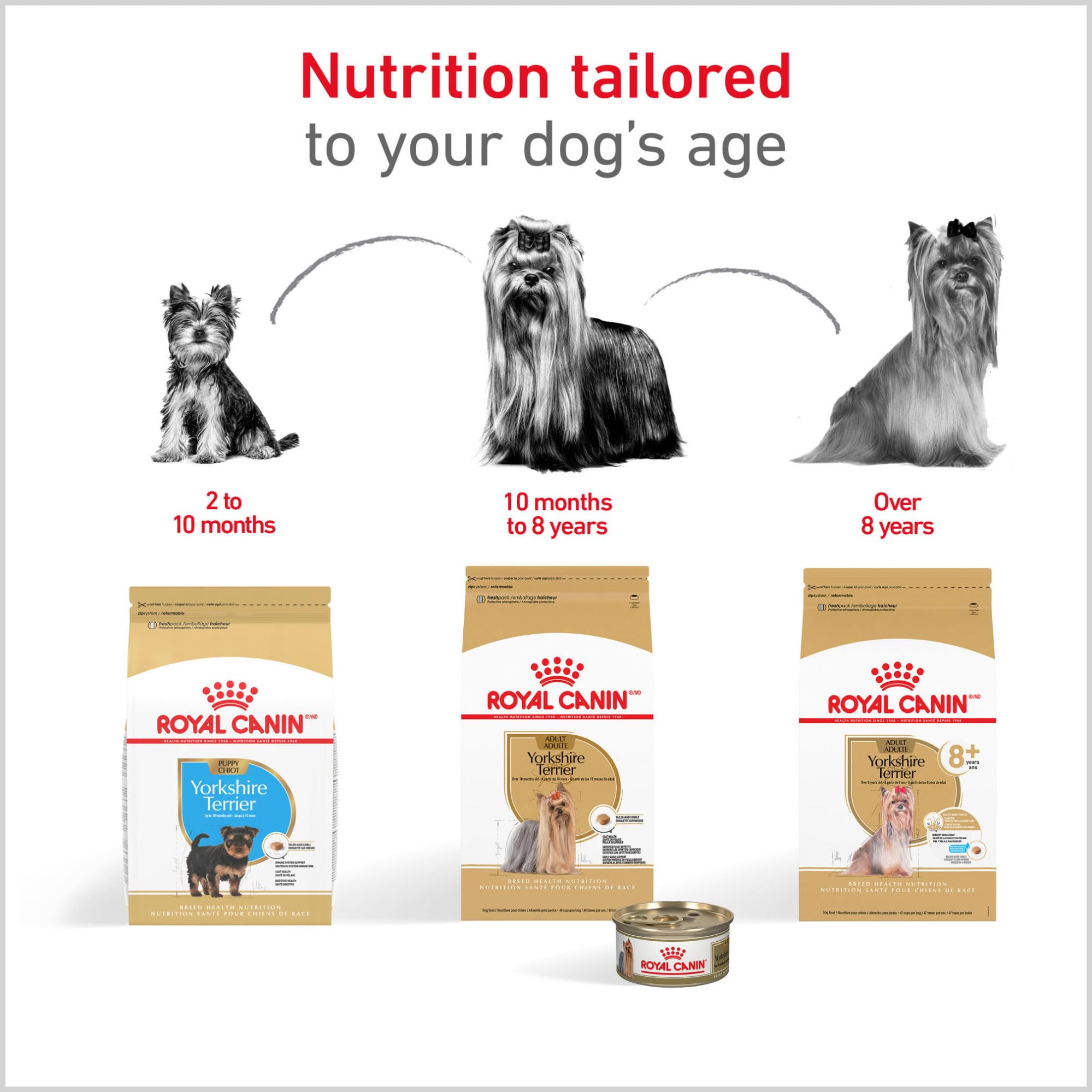 Royal Canin Yorkshire Terrier Puppy, alimento completo: nutrición equilibrada para cachorros en crecimiento.