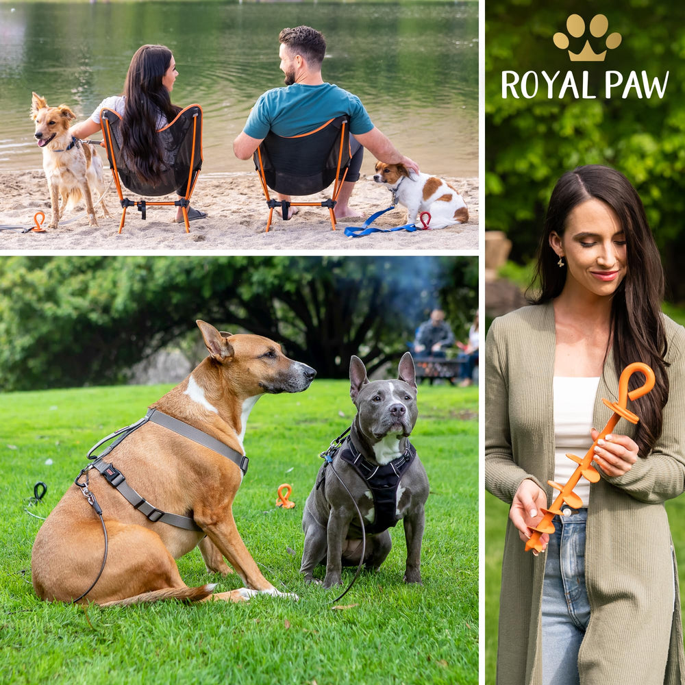 Royal Paw diseño usa: construcción duradera con garantía