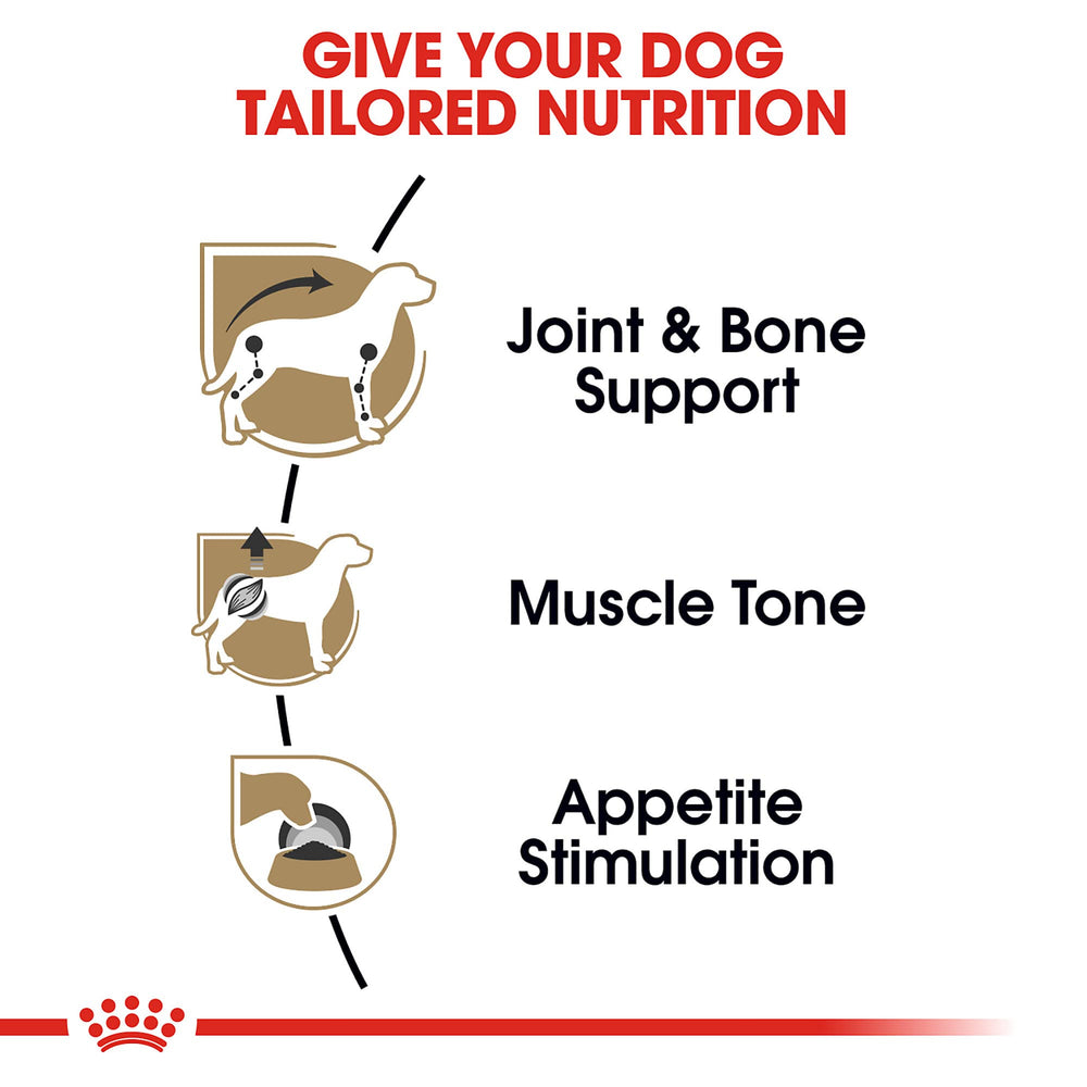 Lata salsa Royal Canin paté sabroso para energía diaria