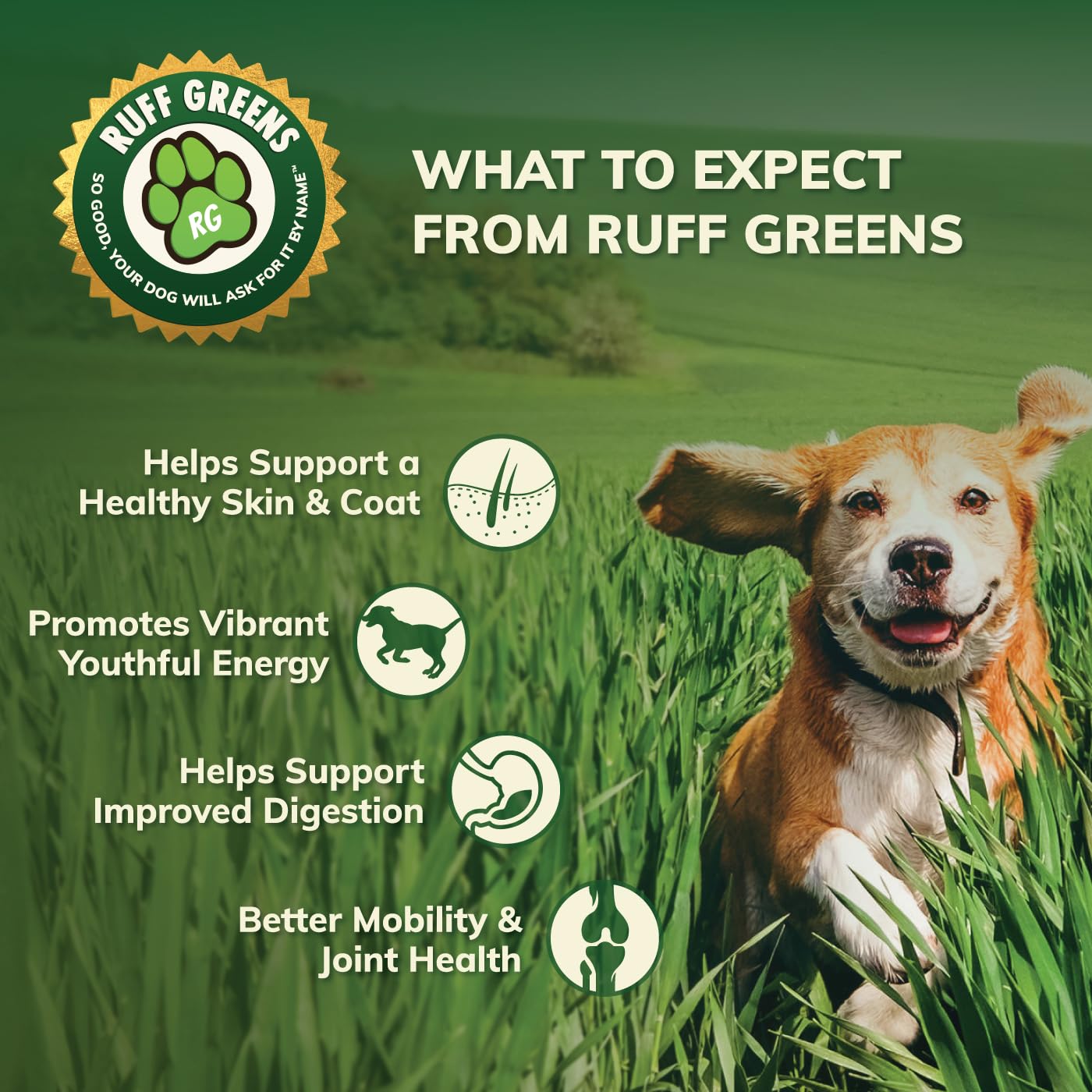 Ruff Greens: apoyo para movilidad en perros senior que mantiene independencia.