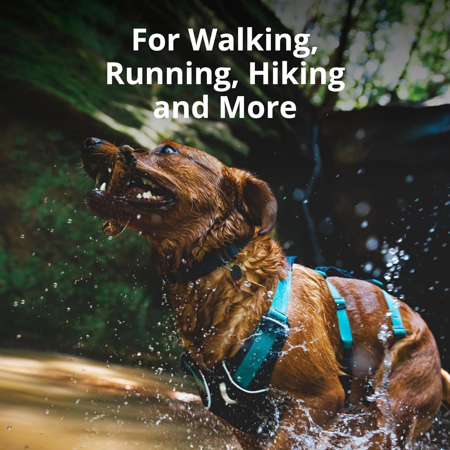 Ruffwear Flagline ofrece panel ventral reforzado para mayor soporte.