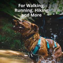 Ruffwear Flagline ofrece panel ventral reforzado para mayor soporte.