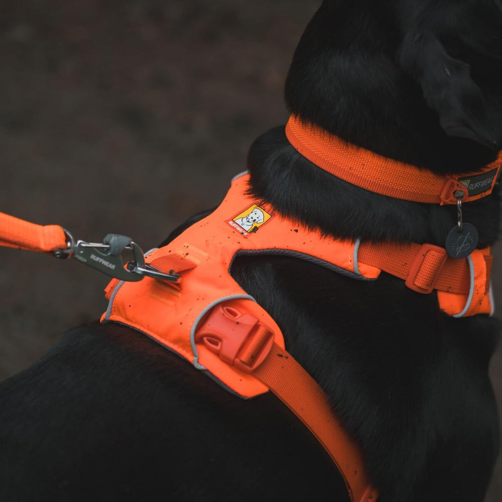 Ruffwear Front Range hebillas laterales de liberación rápida.