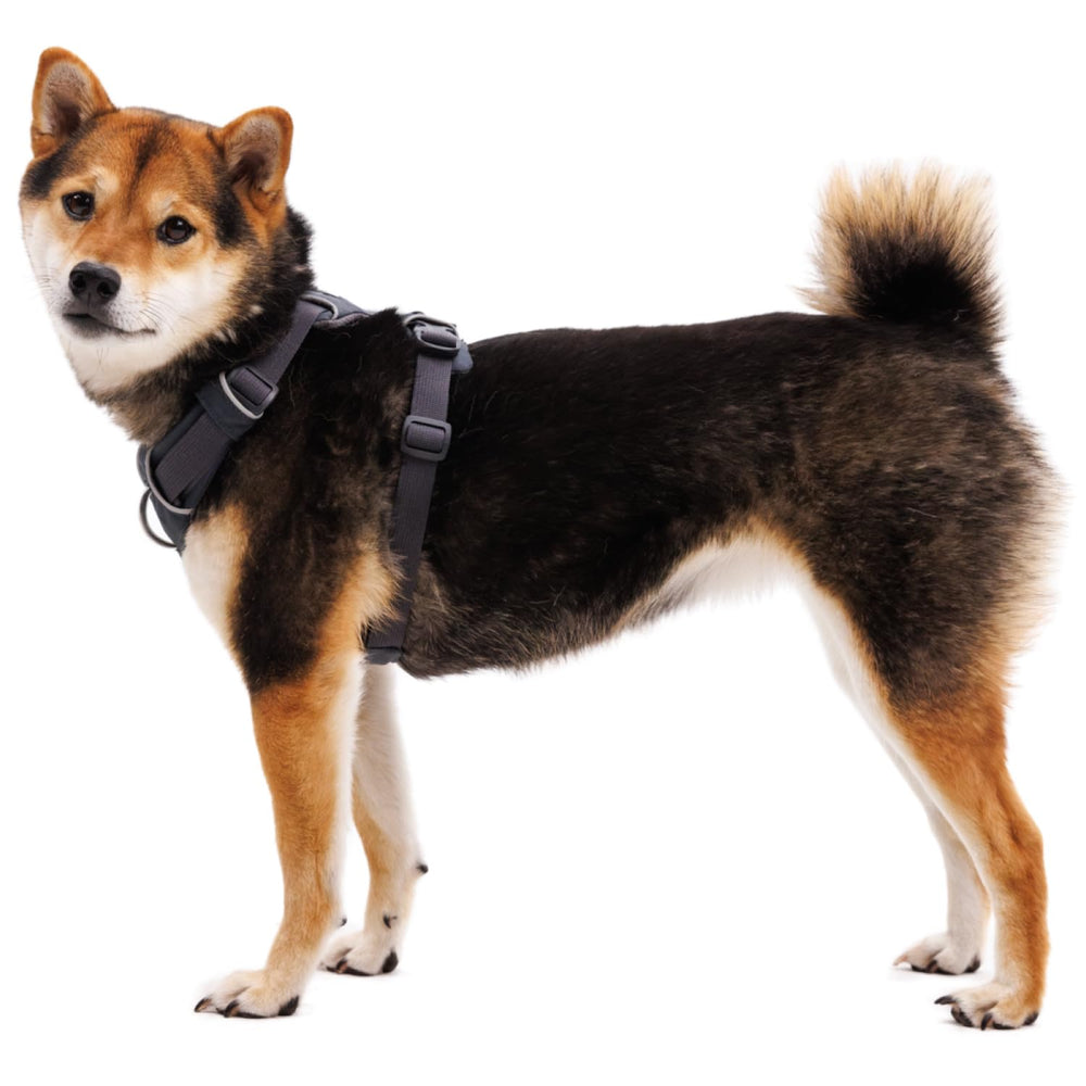 Ruffwear Front Range detalles reflectivos para mayor visibilidad.