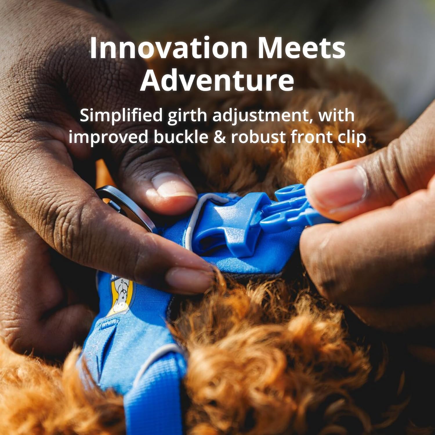Ruffwear Front Range: Reflectivo y Luz Beacon para alta visibilidad en atardeceres.