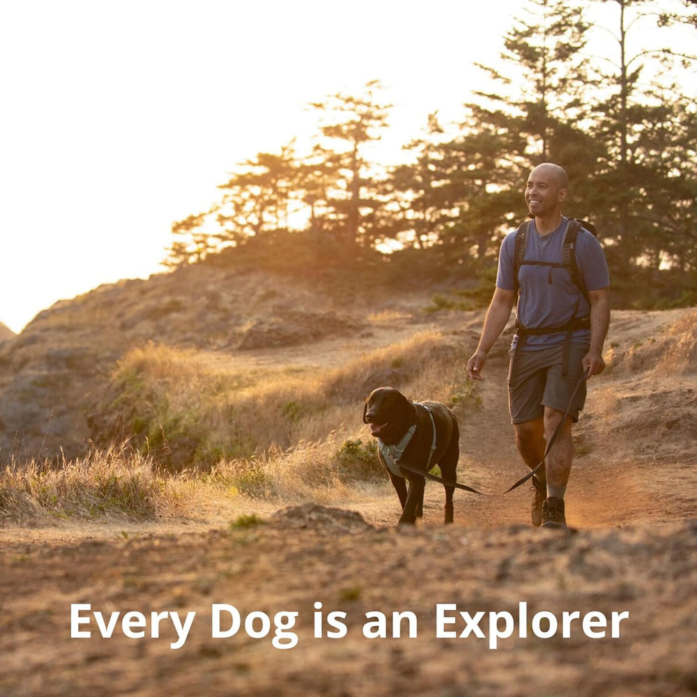 Ruffwear Front Range video de ajuste para medir correctamente.