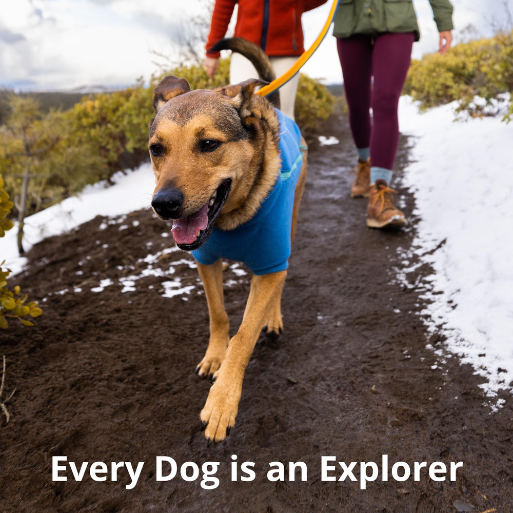 Ruffwear Roamer Bungee, diseño-de-alto-rendimiento, tejidos-tecnicos para actividades al aire libre