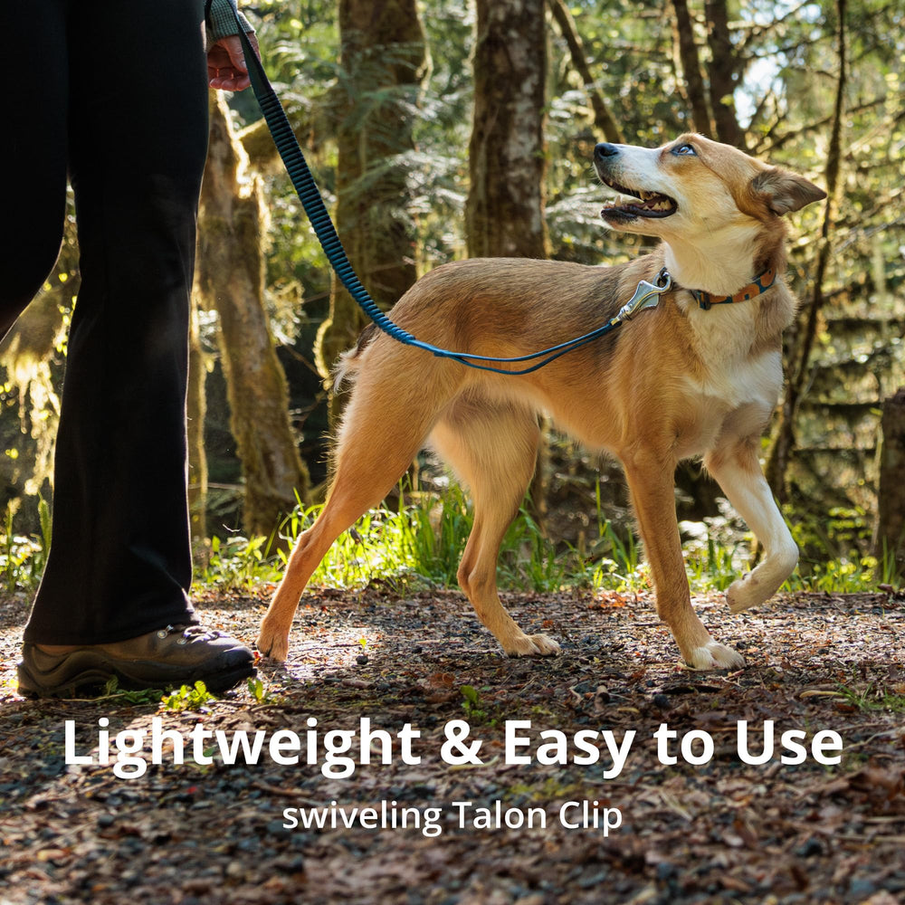Ruffwear Roamer Bungee, mango-acolchado-ajustable, agarre cómodo en sesiones largas