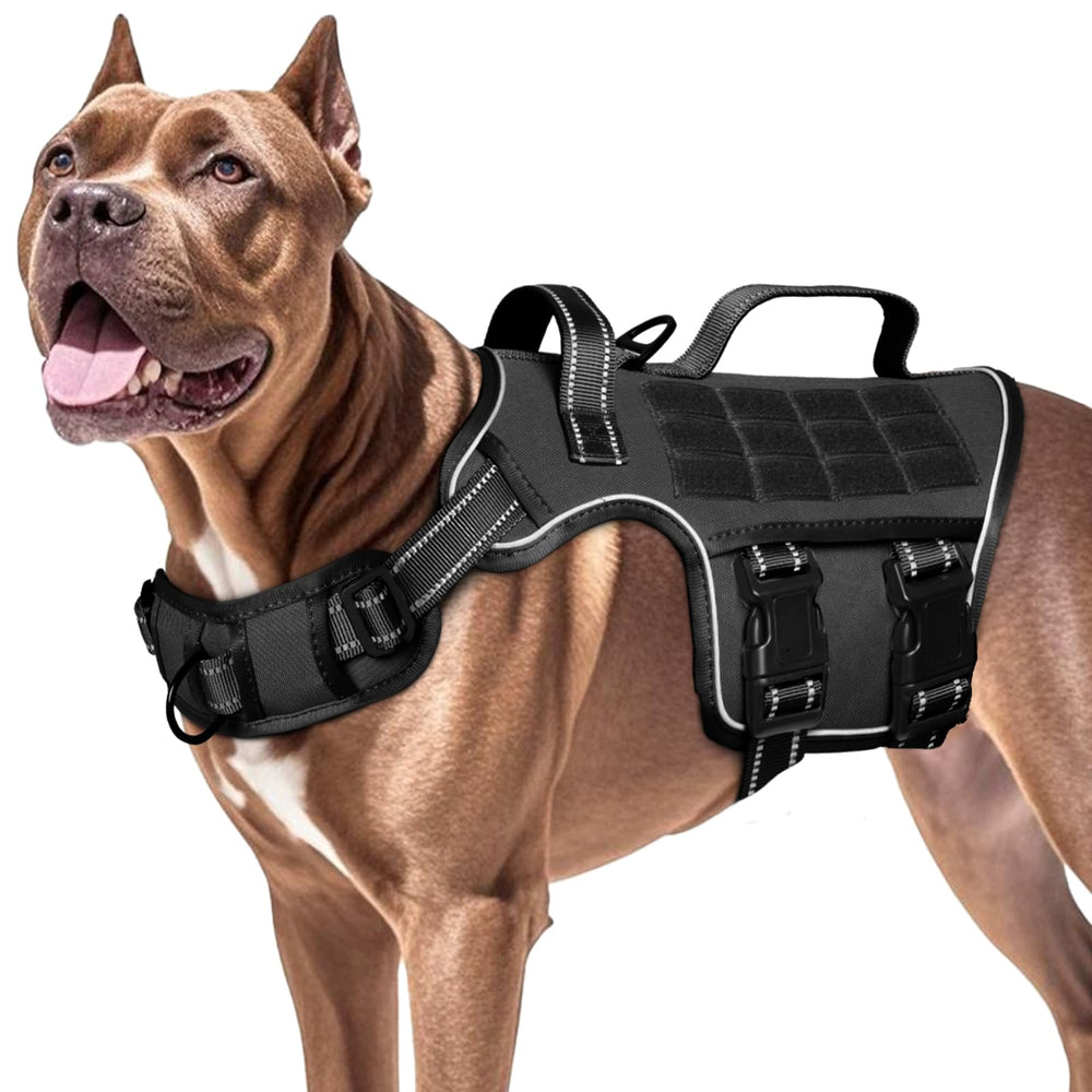 RunFido ajuste-rapido para colocar y quitar con facilidad.